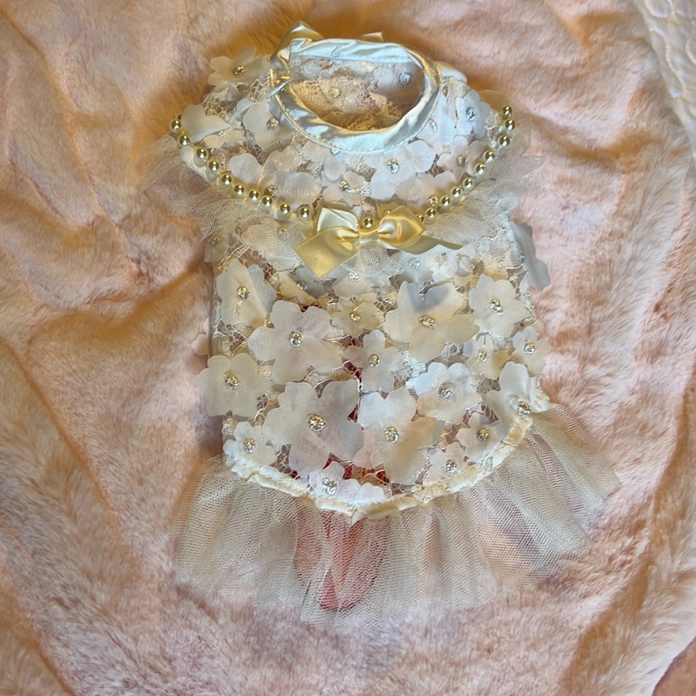Beautiful white with pearls dress